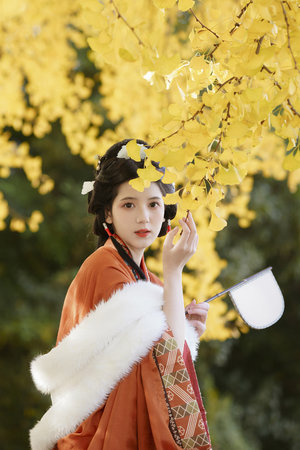 麻花传MV国产剧在线看电视